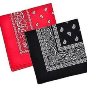 Handkerchiefs for Men & Women | Soft, Absorbent & Reusable 12pc White rumal.mfi