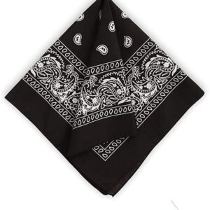 Aenon Fashion is my passion 100% Cotton Novelty Printed Paisley Bandana Handkerchief Scarf Headband Wristband Sun Protection Mask - Cycling Biking Gym Yoga Training Outdoor For Men & Women