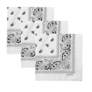 Aenon Fashion is my passion Soft Breathable Cotton Paisley Bandana Handkerchief For Hair Head Bike For Men & Women (1, White)