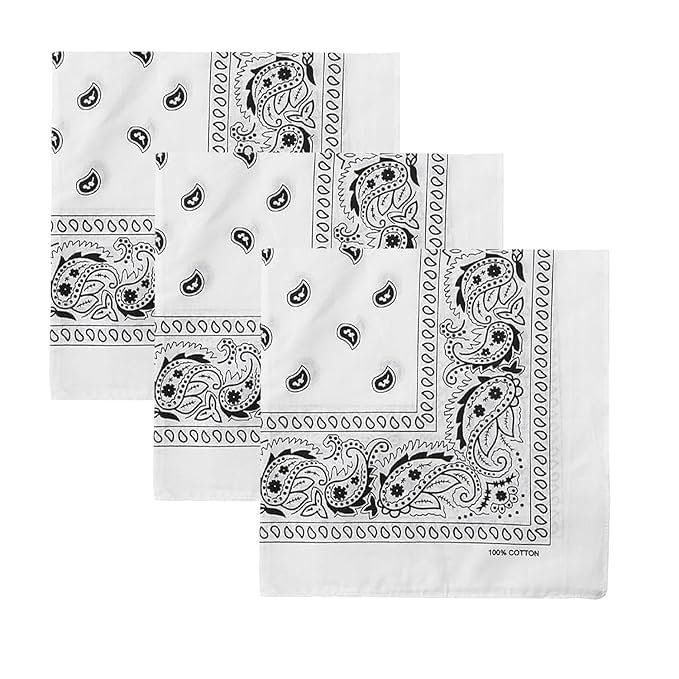Aenon Fashion is my passion Soft Breathable Cotton Paisley Bandana Handkerchief For Hair Head Bike For Men & Women (1, White)